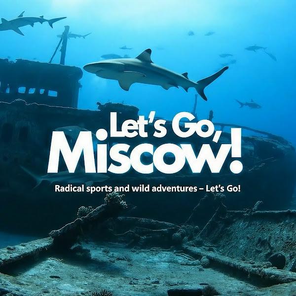 Let’s Go, Miscow! — sharks above an underwater shipwreck
